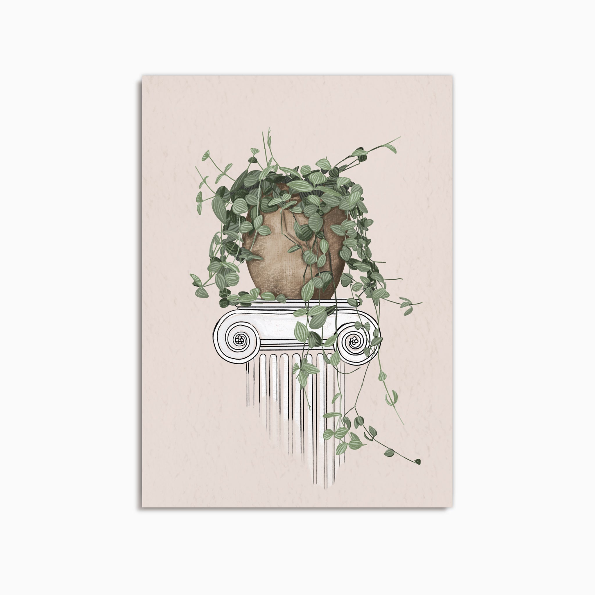 BOTANICAL STILL LIFE - FINE ART PRINT