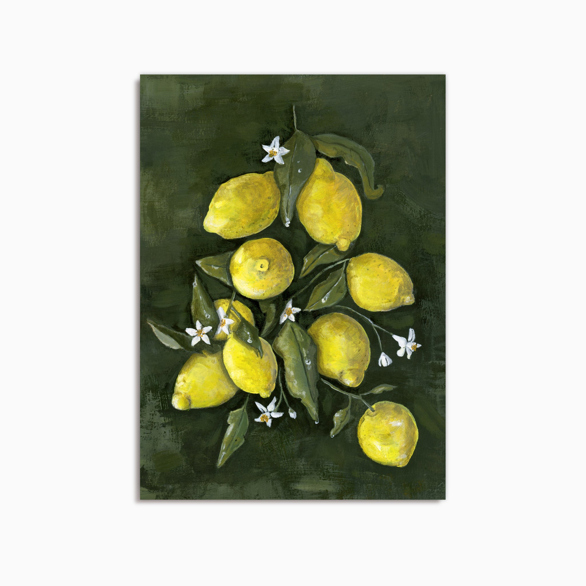 LEMONS - FINE ART PRINT