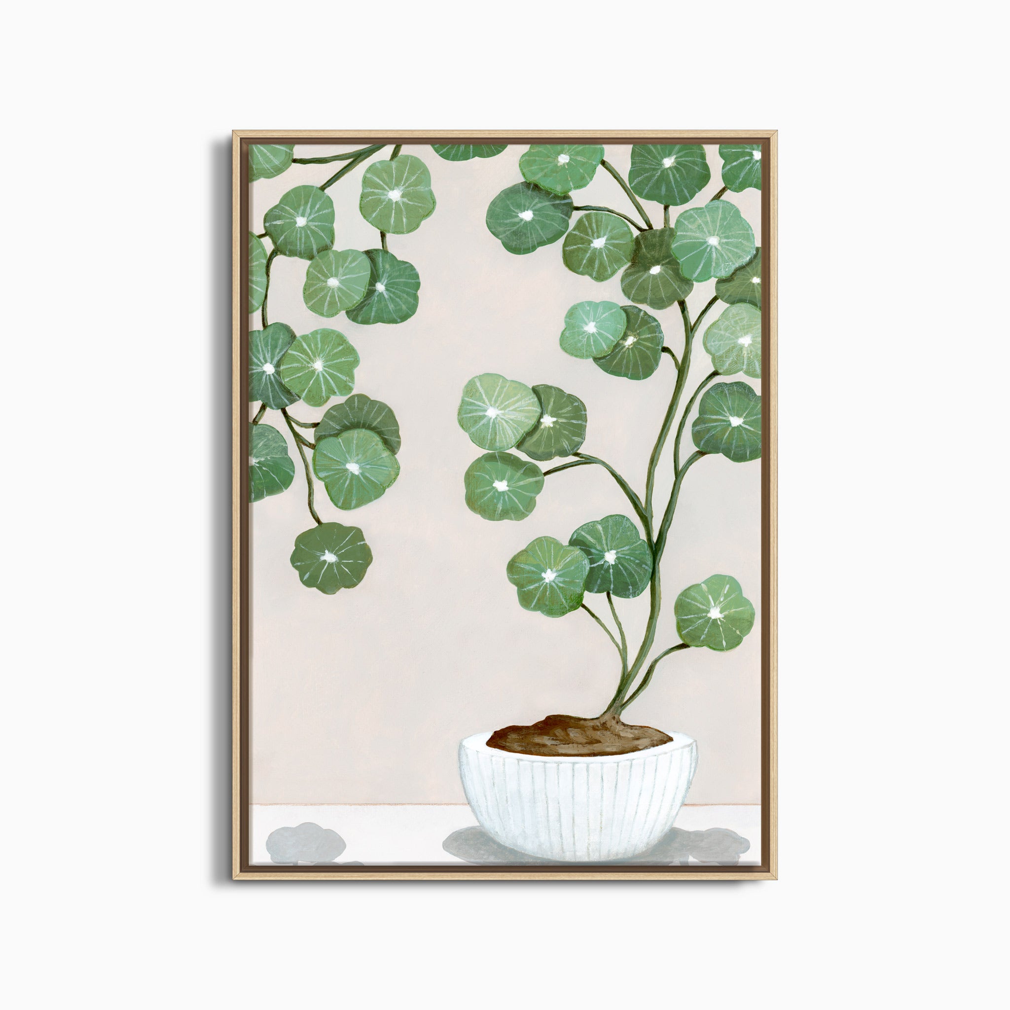 PLANT ARCHING