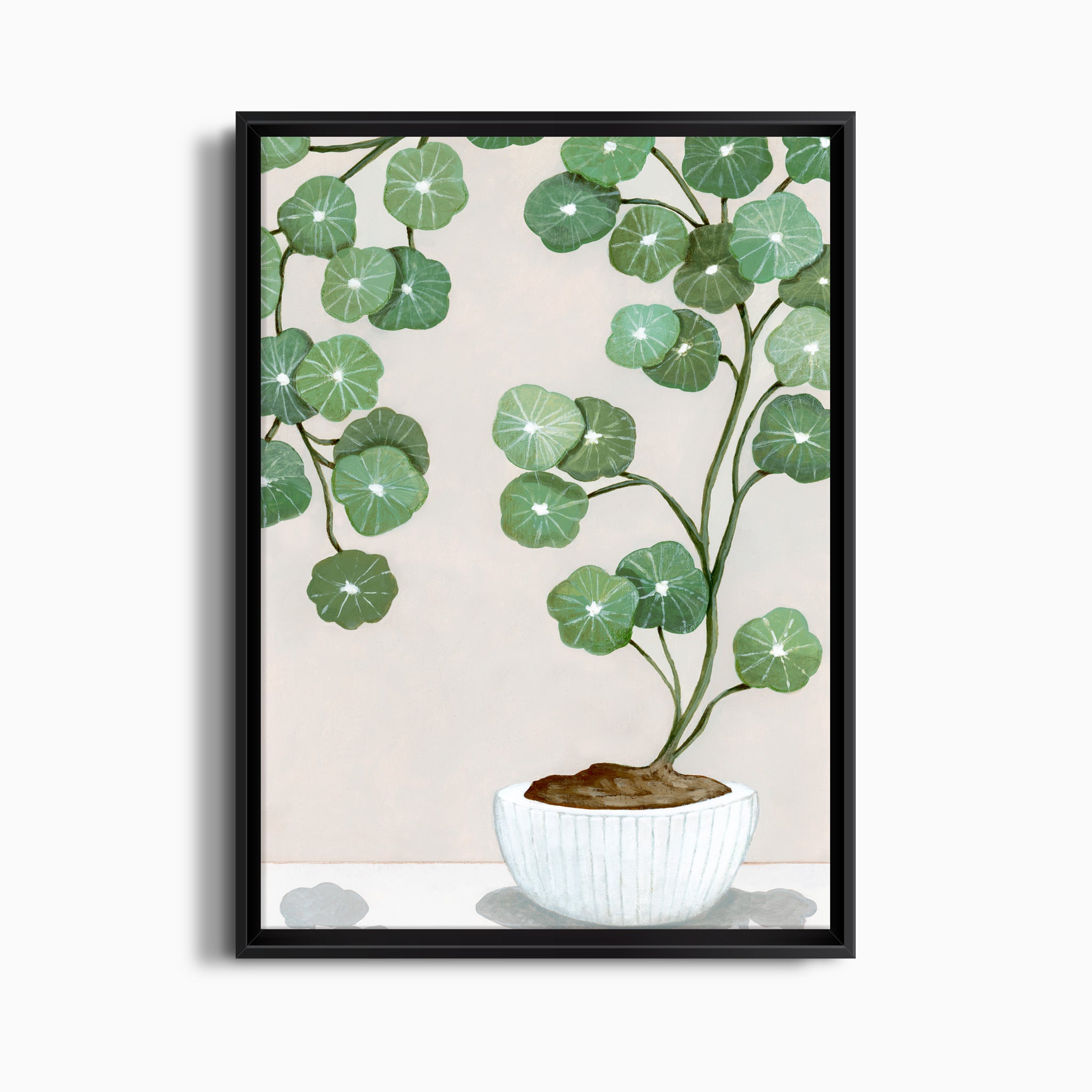 PLANT ARCHING