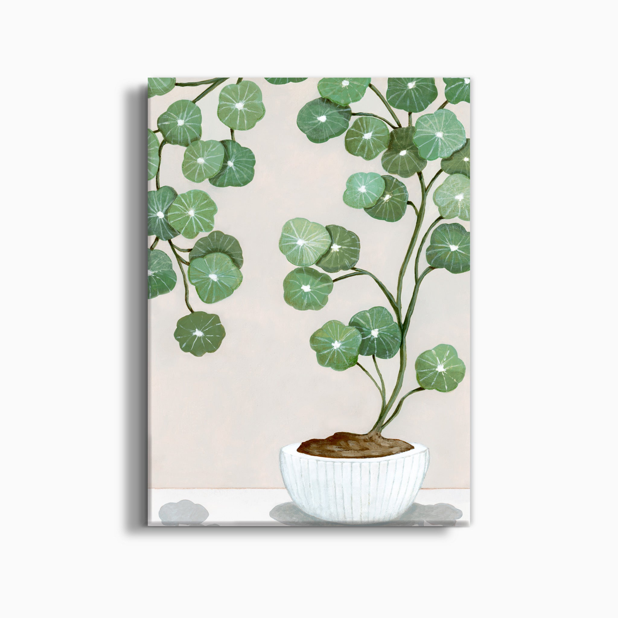 PLANT ARCHING