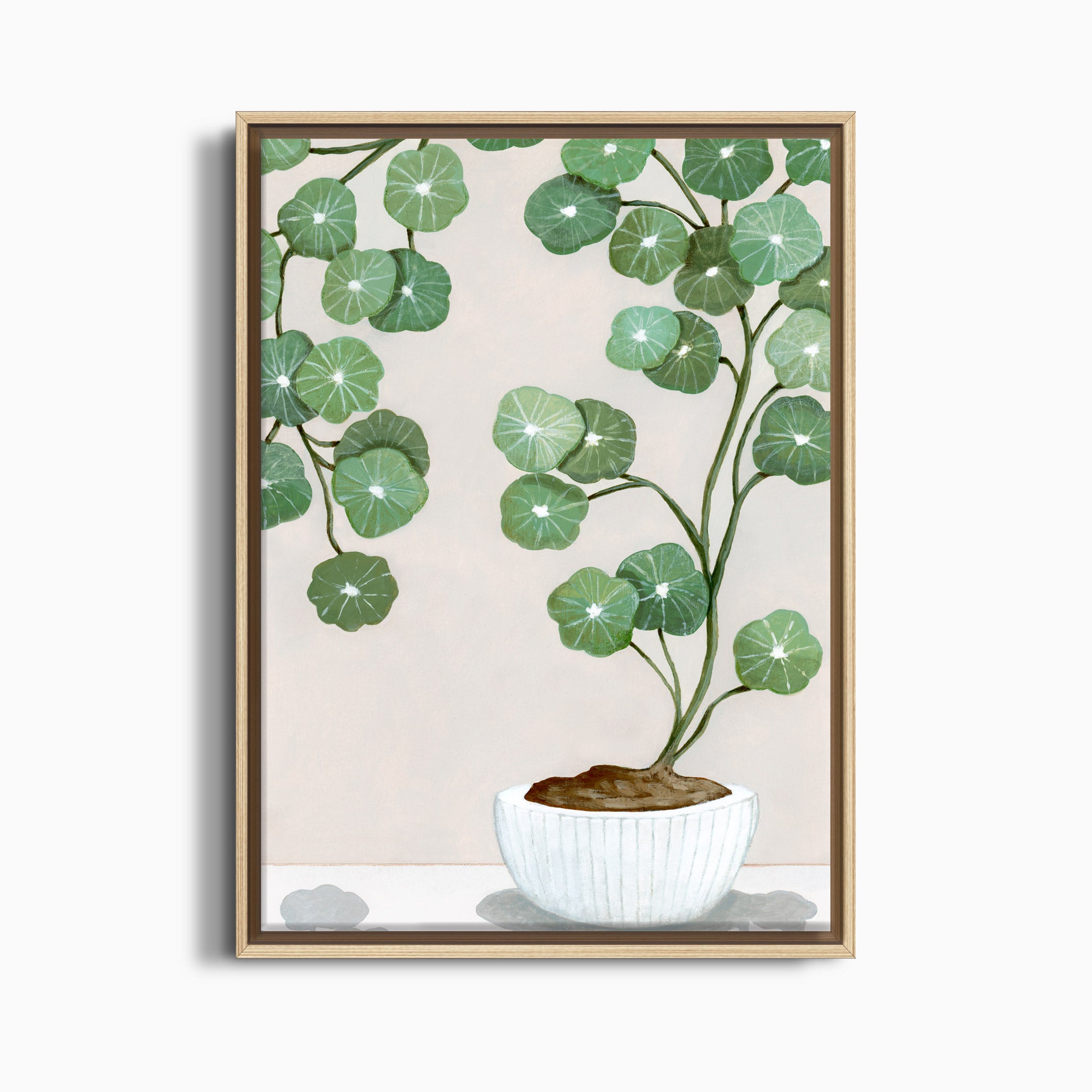 PLANT ARCHING